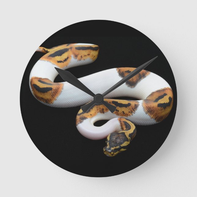 piebald ball python runde wanduhr (Vorderseite)