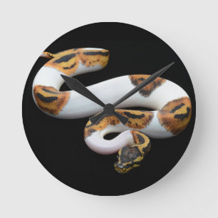 piebald ball python runde wanduhr
