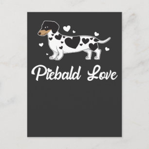 Piebald Dackel Dog Owner Gift Postkarte