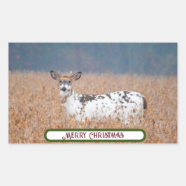 Piebald Deer Foto Stickers