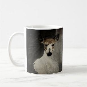 Piebald Deer Got Verheiratet Kaffeetasse