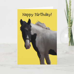 Piebald Paint Pony Karte