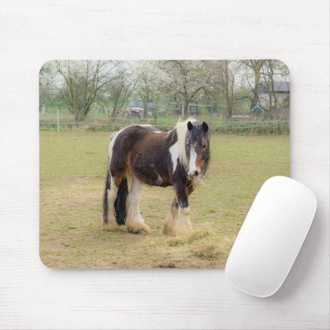 Piebaldpferd auf der Weide Mousepad (Mit Mouse)