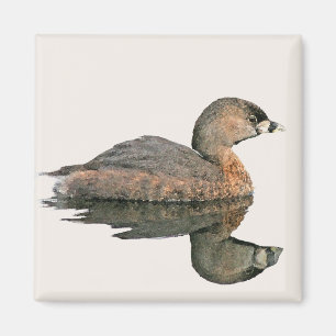 Pied Billed Grebe Magnet