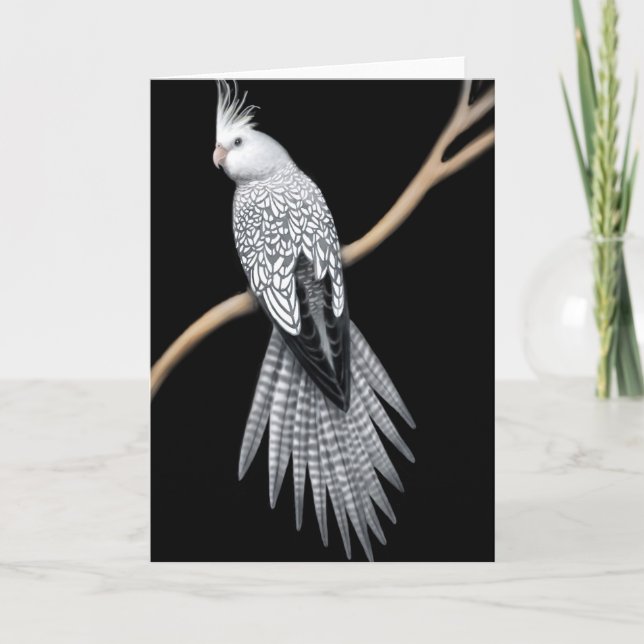 Pied Cockatil Card Karte (Vorderseite)