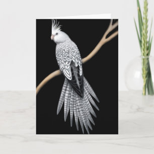 Pied Cockatil Card Karte