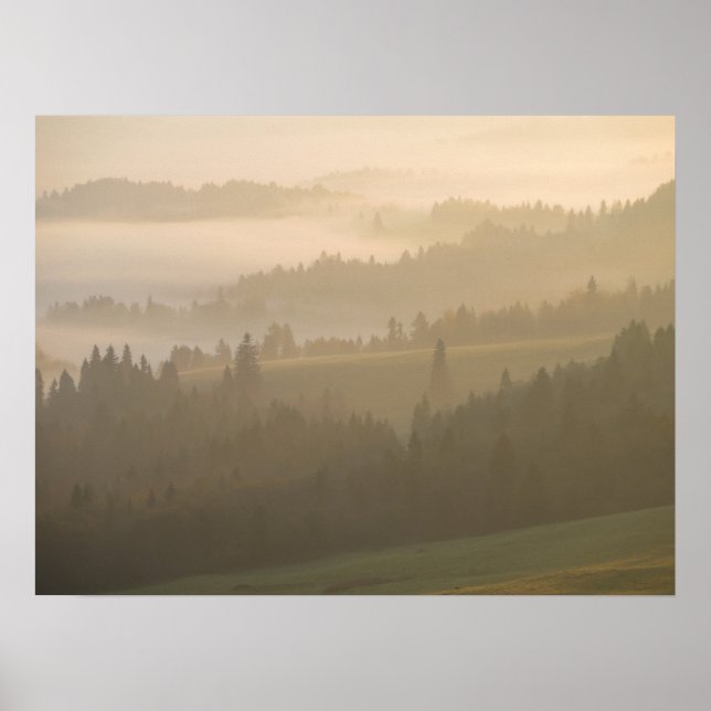 Pieniny Nebel Poster (Vorne)