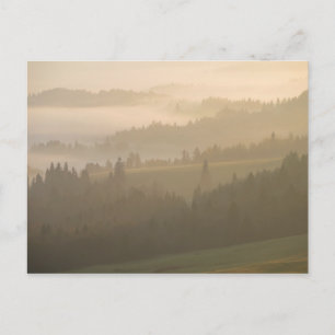 Pieniny Nebel Postkarte