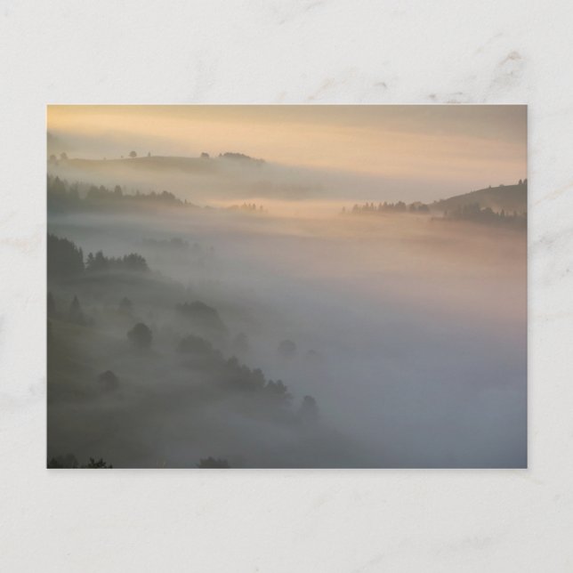 Pieniny-Sonnenaufgangsnebel Postkarte (Vorderseite)