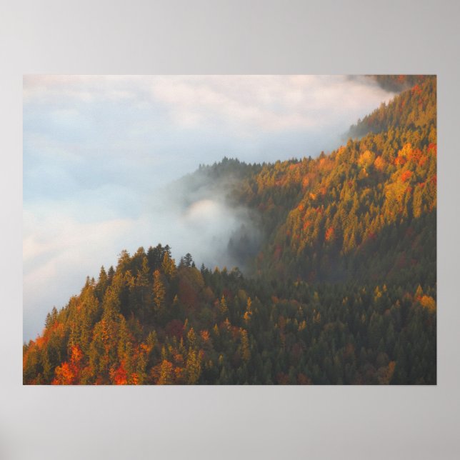 Pieniny-Wolken Herbst Poster (Vorne)