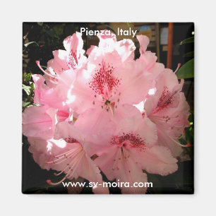 Pienza, Italien Magnet