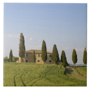 Pienza, Val d'Orcia, Provinz Siena, Toskana, Fliese
