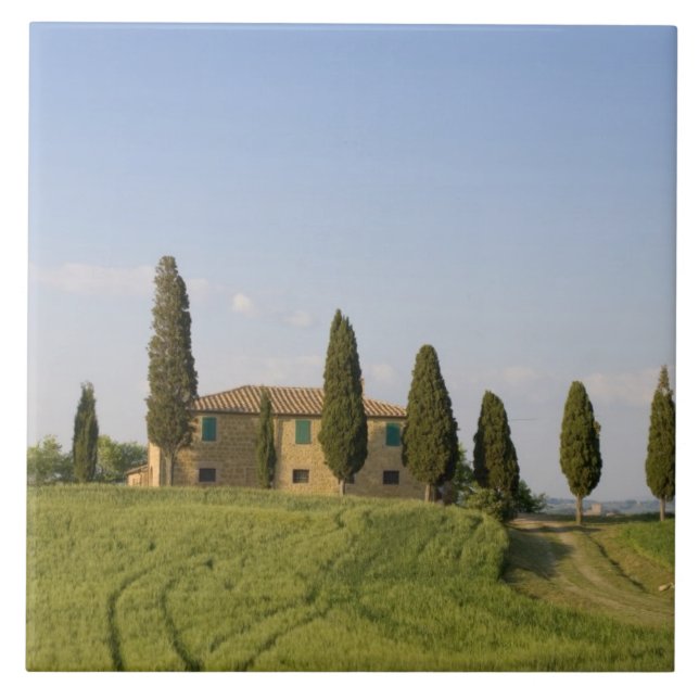 Pienza, Val d'Orcia, Provinz Siena, Toskana, Fliese (Vorderseite)