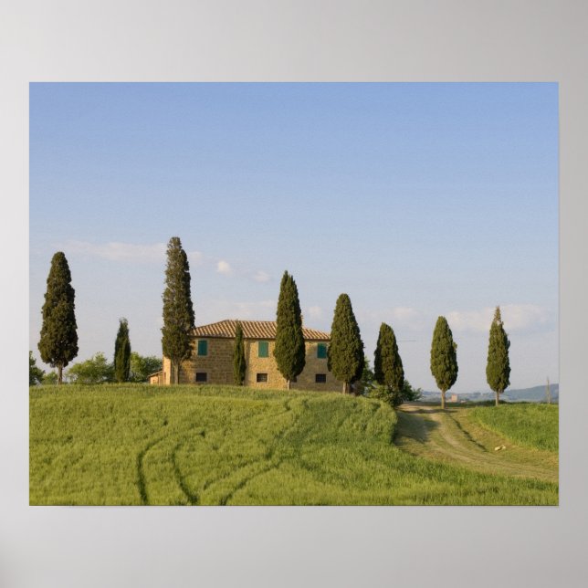Pienza, Val d'Orcia, Provinz Siena, Toskana, Poster (Vorne)