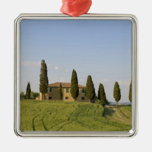 Pienza, Val d'Orcia, Provinz Siena, Toskana, Silbernes Ornament