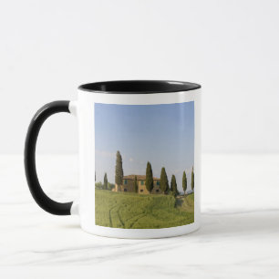Pienza, Val d'Orcia, Provinz Siena, Toskana, Tasse