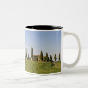 Pienza, Val d'Orcia, Provinz Siena, Toskana, Zweifarbige Tasse