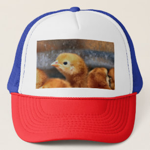 Piep piep truckerkappe