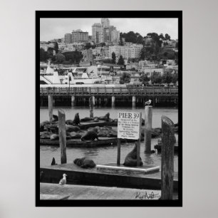 Pier 39 poster