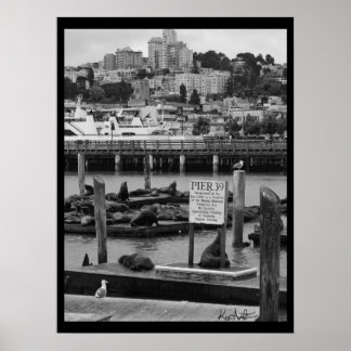 Pier 39 poster