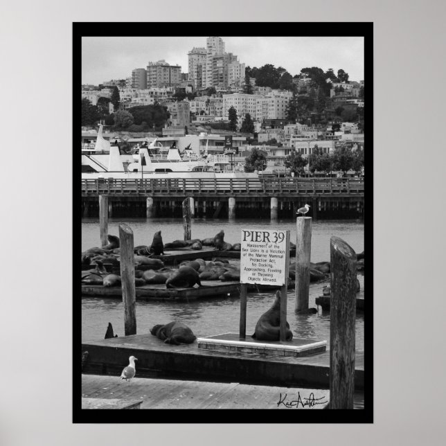Pier 39 poster (Vorne)