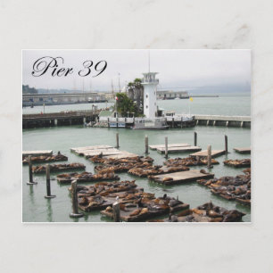 Pier 39 postkarte