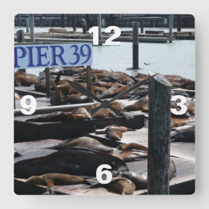 Pier 39 Sea Lions Quadratische Wanduhr
