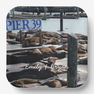 Pier 39 Seelöwen Pappteller