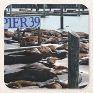 Pier 39 Seelöwen Rechteckiger Pappuntersetzer