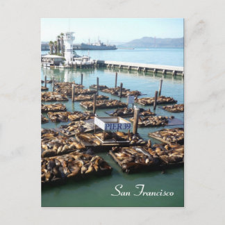 Pier 39 Siegel Postkarte
