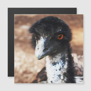 Piercing Eyes of the Outback Magnetic Card Magnetkarte