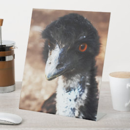 Piercing Eyes of the Outback Sockelschild