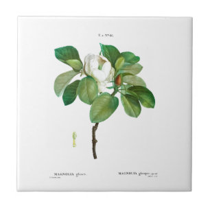 PIERRE-JOSEPH REDOUTÉ MAGNOLIA KERAMIK TILE FLIESE