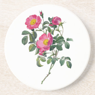 Pierre Joseph Redoute Rose Untersetzer