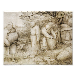 Pieter Bruegel der Älteste - die Imker Fotodruck