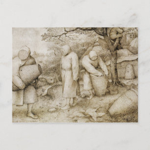 Pieter Bruthe Elder Postkarte