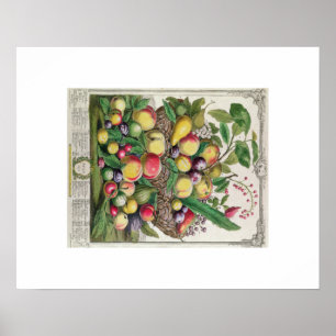 Pieter Casteels, zwölf Monate Früchte, Juli Poster