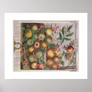 Pieter Casteels, zwölf Monate Früchte, kann Poster