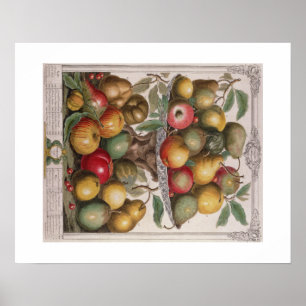 Pieter Casteels, Zwölf Monate Obst Februar Poster