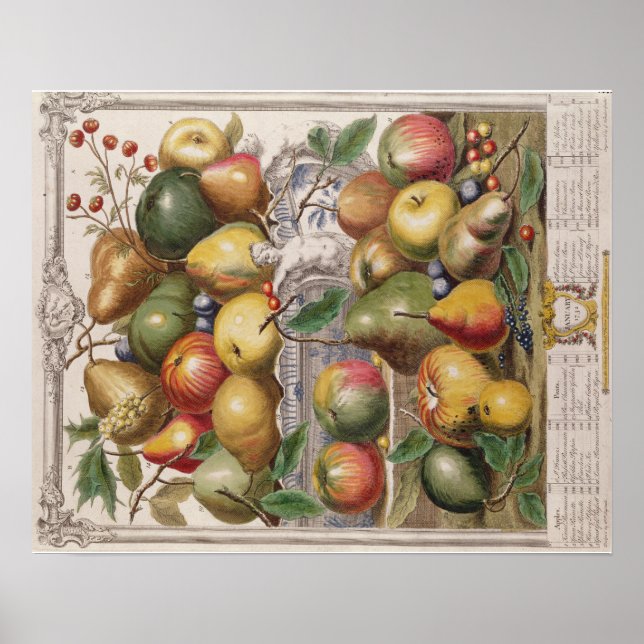 Pieter Casteels, Zwölf Monate Obst" Januar Poster (Vorne)