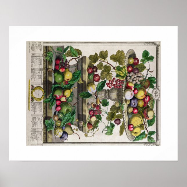 Pieter Casteels, Zwölf Monate Obst, Juni Poster (Vorne)