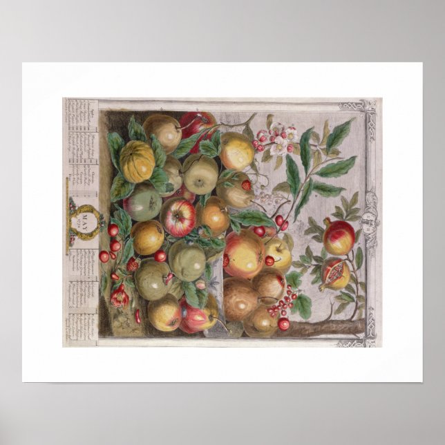 Pieter Casteels, Zwölf Monate Obst, Mai Poster (Vorne)