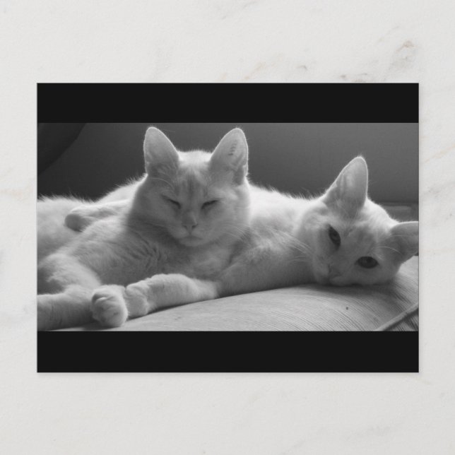 Piff und Puff Postkarte (Vorderseite)