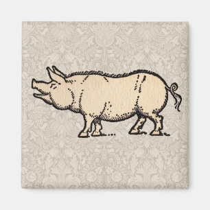 Pig Antique Piggy Niedlich Vintag Magnet