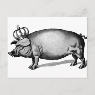 Pig Crown Royal Queen Big Piggy Postkarte