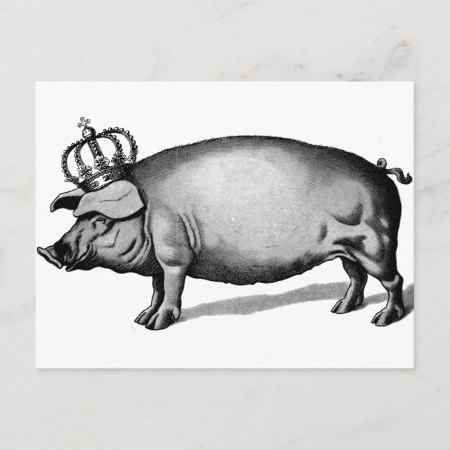 Pig Crown Royal Queen Big Piggy Postkarte (Vorderseite)