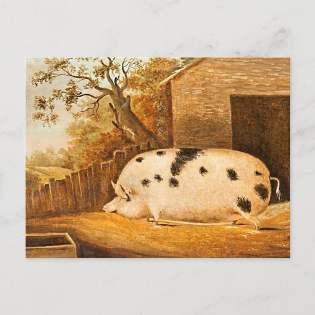 Pig Gepunktet Hog Vintage Bauernhöfe Malerei Postkarte (Vorderseite)