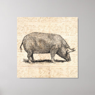 Pig Illustration Stil antiker Art Script Leinwanddruck