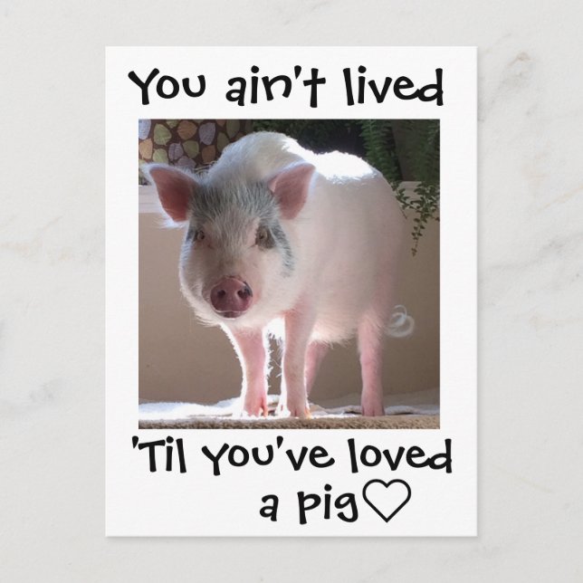 Pig lovin' postkarte (Vorderseite)