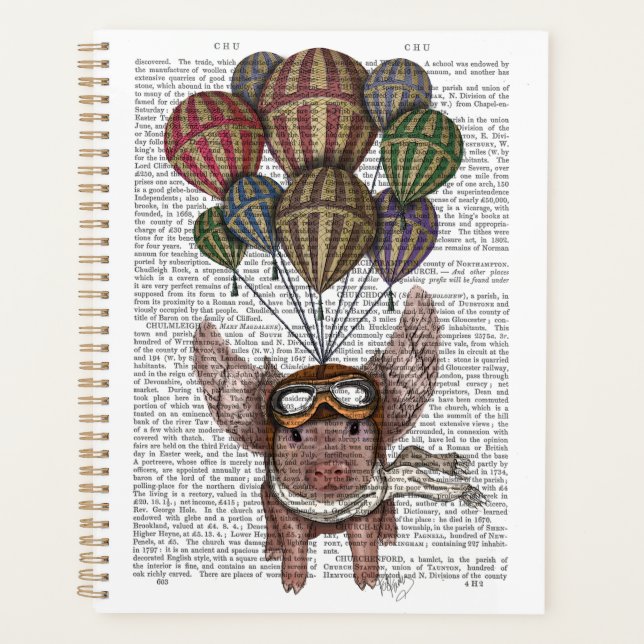 Pig Planer (Vorderseite)